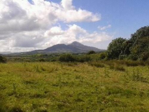 Nephin Lodge Westport Pokoj fotografie